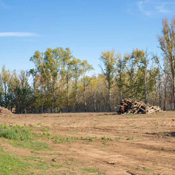 land clearing land